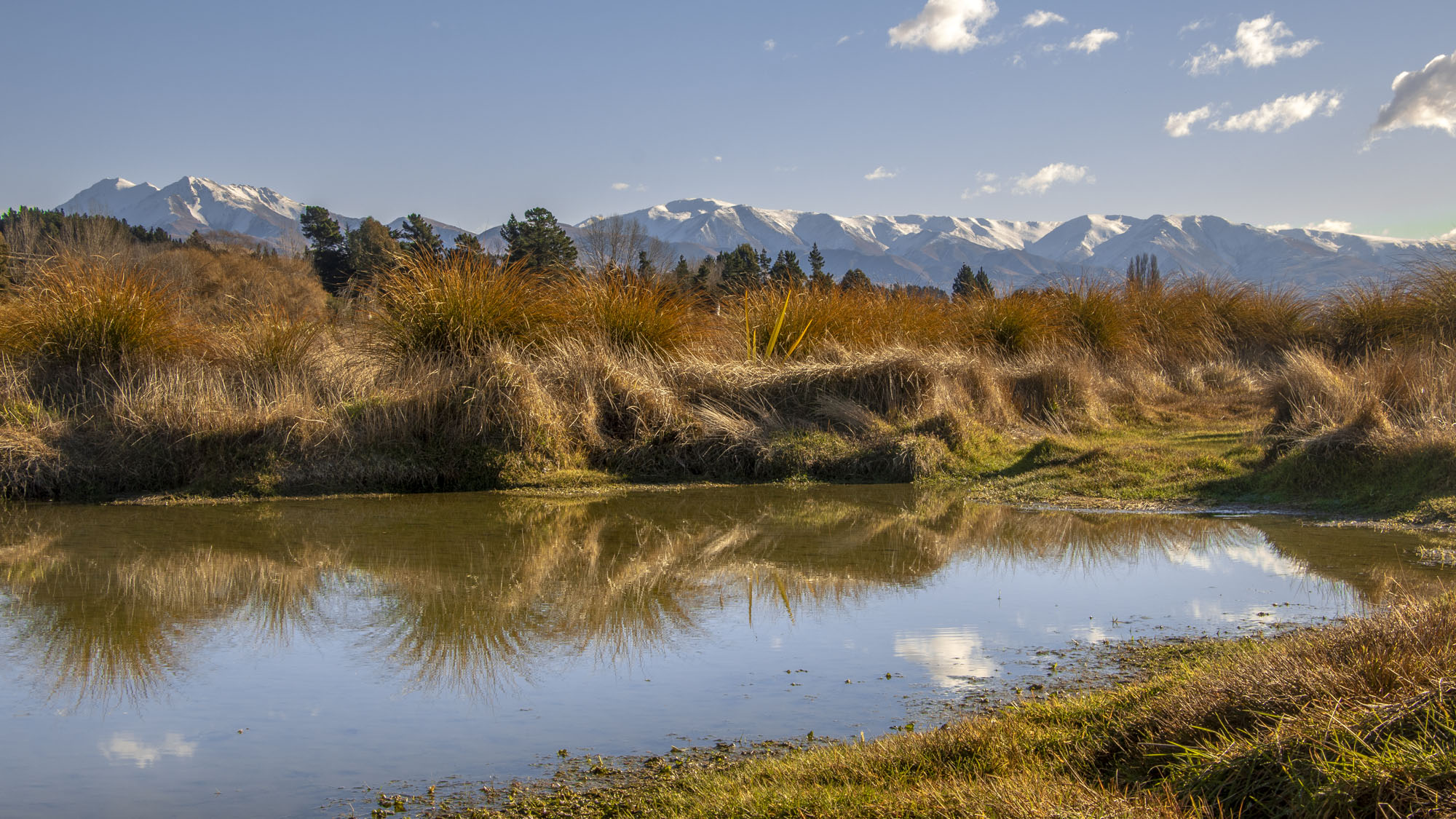 Look out for the wildlife depicted in the ancient Maori rock art, admire the native plants and spot the springs as you wind your way through the wetlands and over sections of boardwalk which have been protected and reinvigorated by a group of local volunteers.