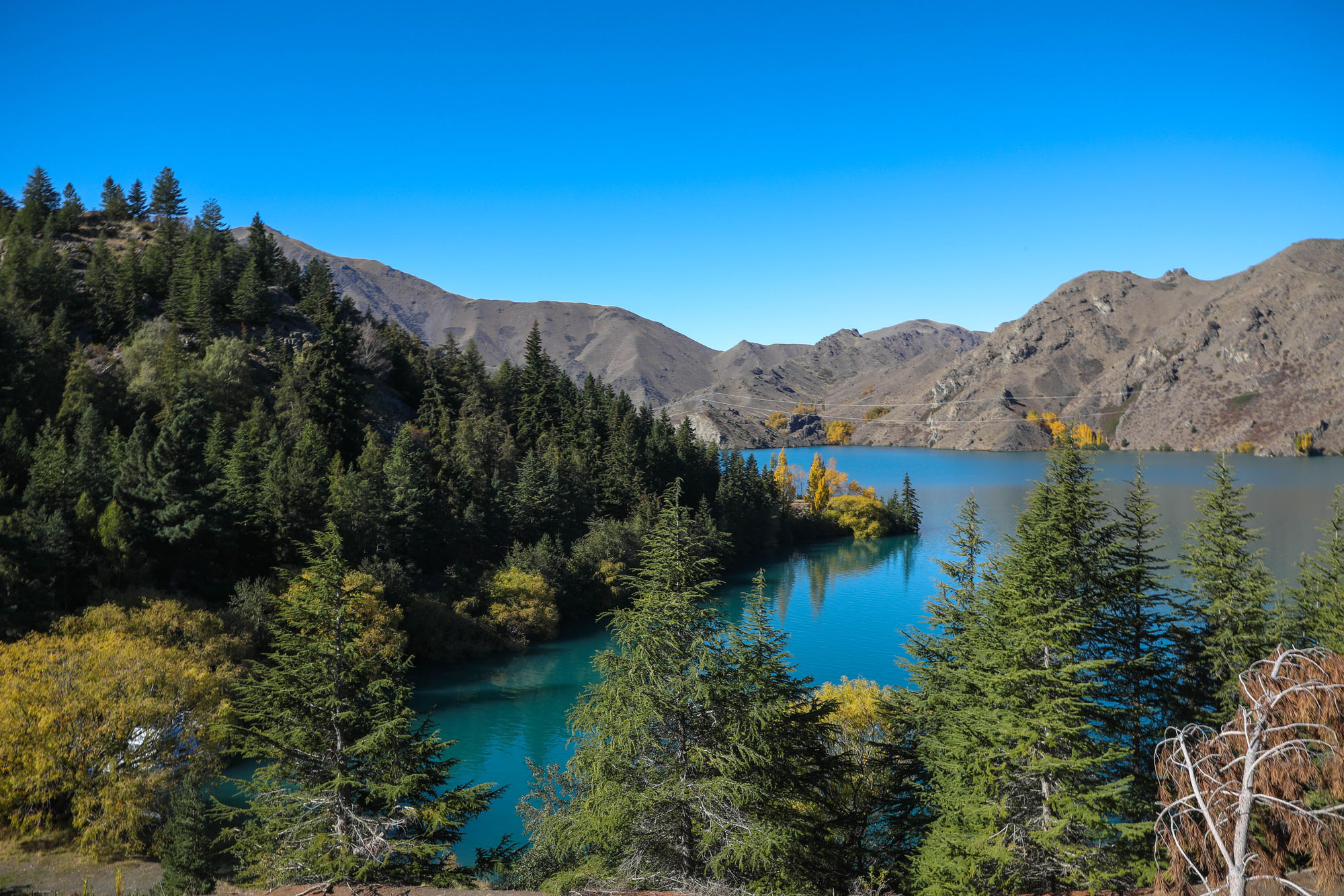 This circuit track passes through a forest and around a peninsula jutting out into Lake Benmore.