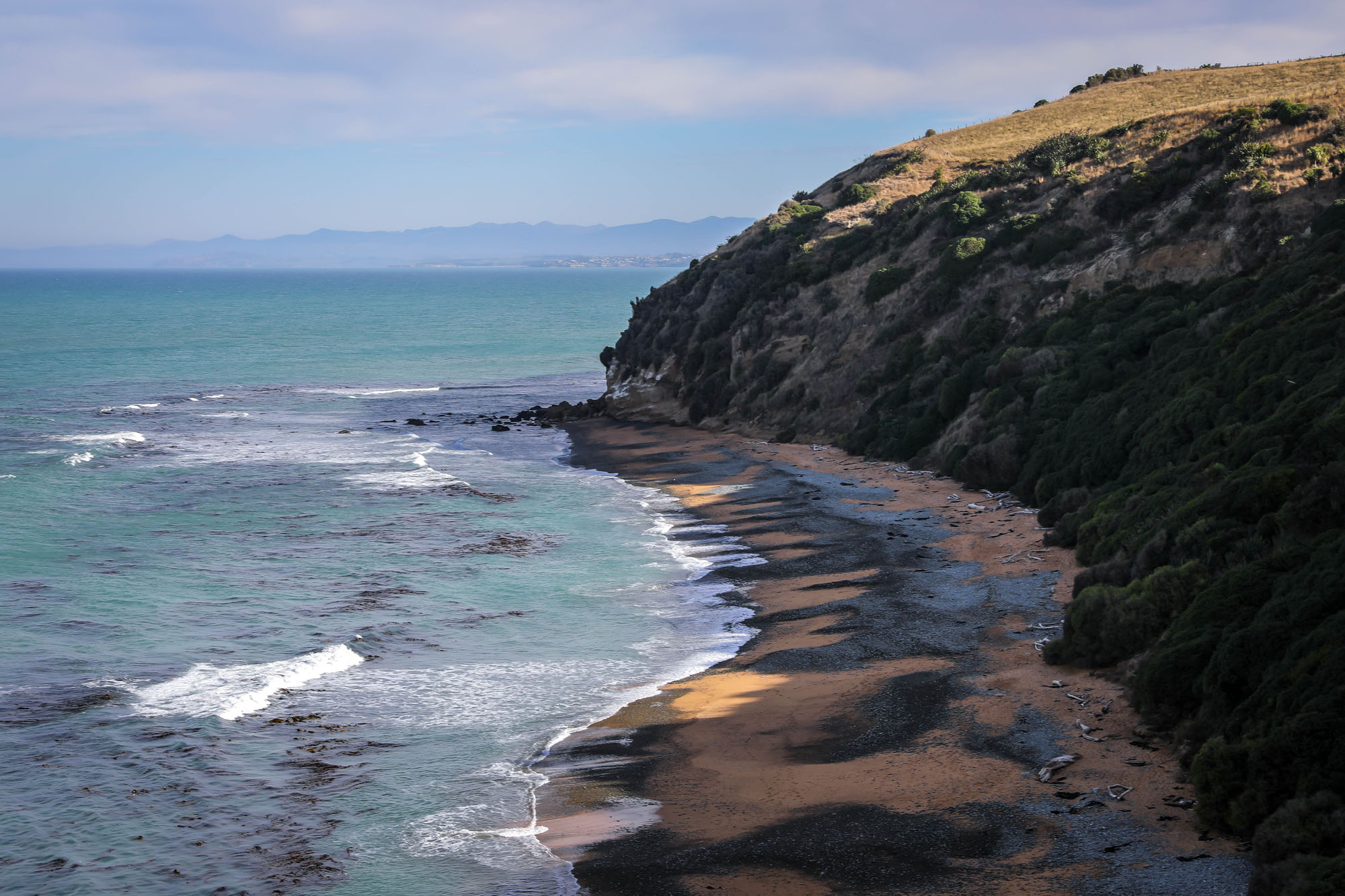 Spot New Zealand fur seals and the rarest penguin in the world, the yellow-eyed penguin, from this short cliff-top walk.