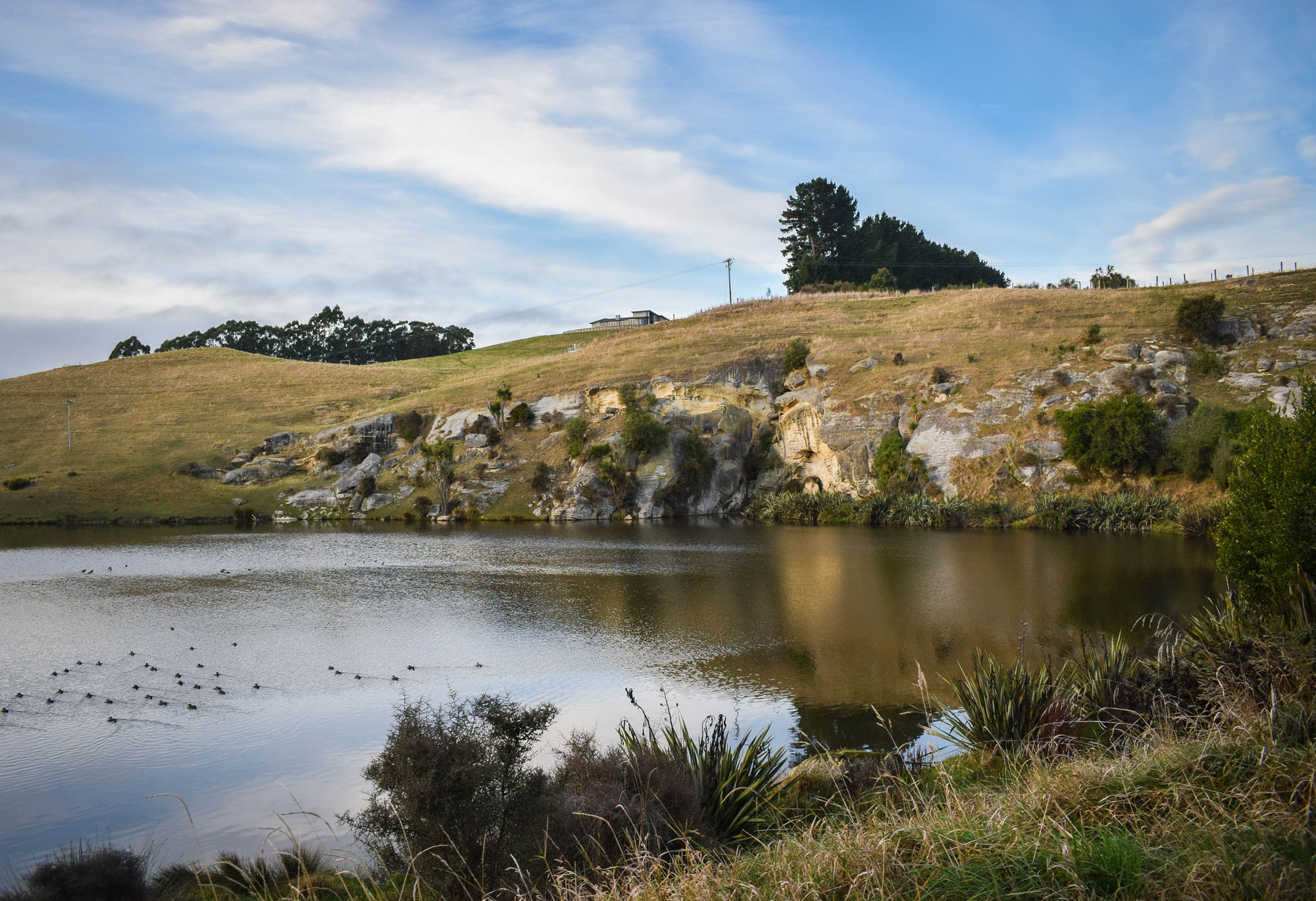 This wetland lagoon is an important habitat for many wetland bird species and is recognised as an area of Natural Significance in this Karst landscape.