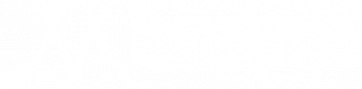 ms-logo-white2